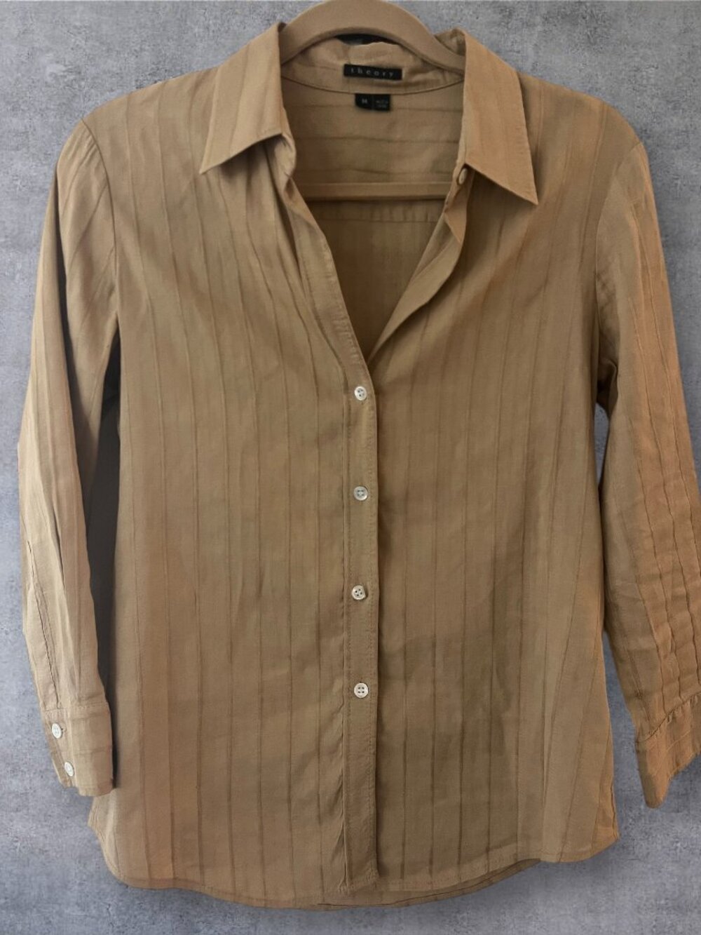 Quiet Luxury Theory Button Down Shirt